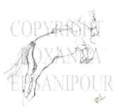 horse drawing